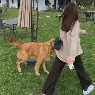 查理曼
